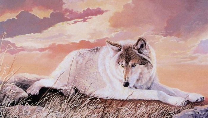 kb Estes Trudy-Sun Wolf-Earth Bound. , 