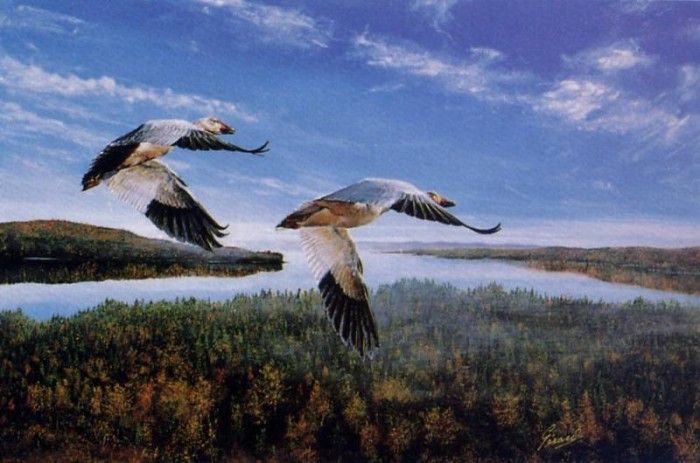 Robert Gerard - Direction South, De. �����, ������