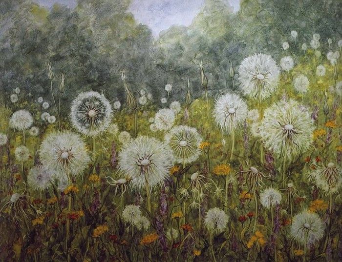 lrs Augustine Joanne Island Dandelions. , 