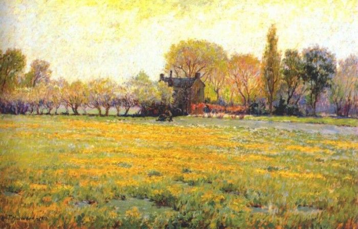 harwood dandelion field 1913. 