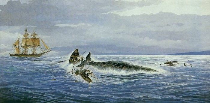 kb Nelson RL Justice for a Whale. Nasmith, ���