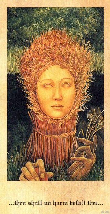 xlr8 mbm 67. �����, ������ � ����� Garland