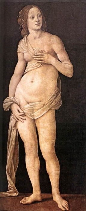 Lorenzo di Credi Venus.   