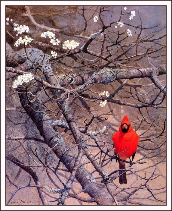 bs-na- Lars Jonsson- Signals Of Spring. , 