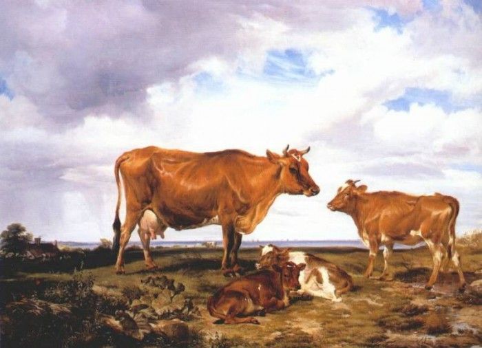 cooper the victoria cow buffie 1848. , C