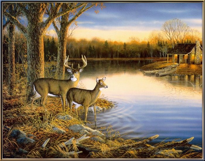 SamTimm-TranquilEvening-WhiteTailDeer (sj-art328). , 