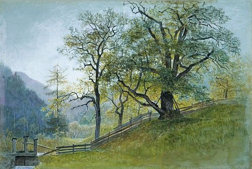 05208. Haseltine,  