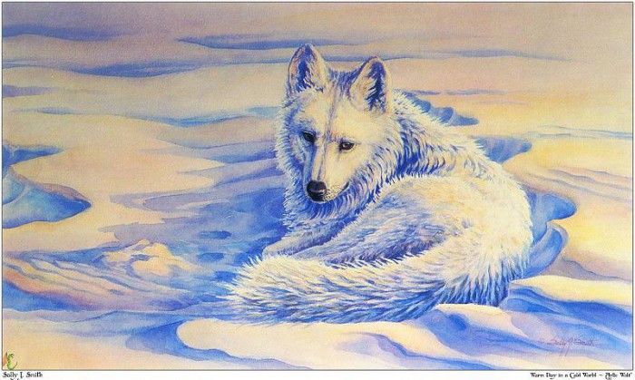 f WSC 11 SallyJSmith WarmDayInAColdWorld-ArticWolf. ,  J
