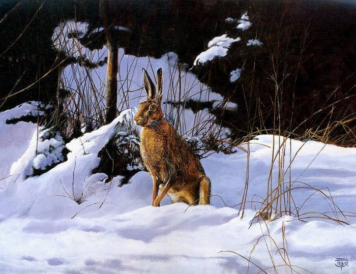 Verstappen Pieter Nature 02 Sun. Verstappen, �����