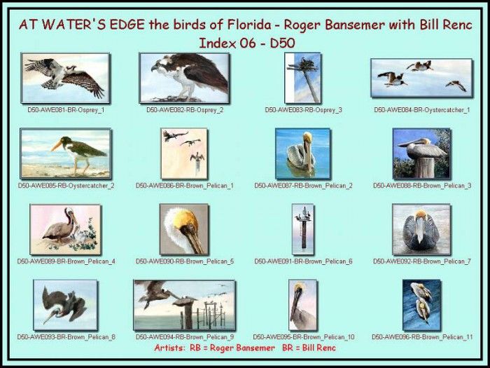 D50-At Waters Edge-Index 06. Bansemer, ������