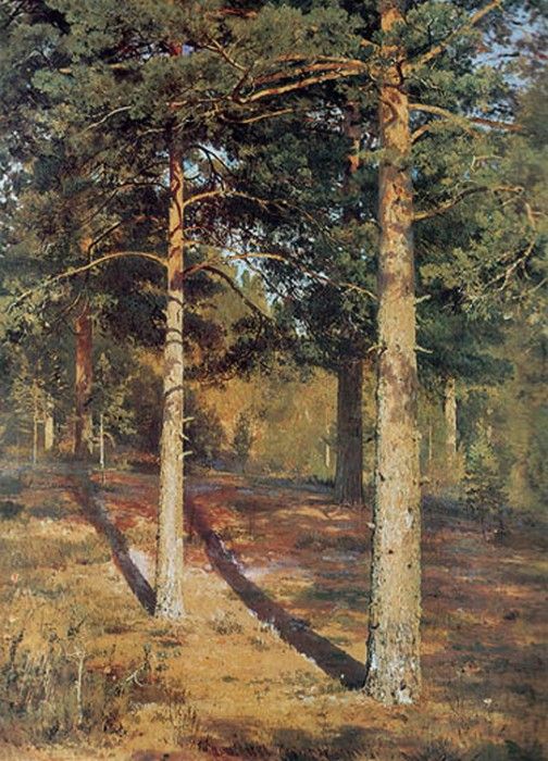 Shishkin Ivan The Sun lit Pines 1886. ,  