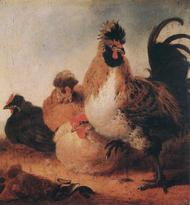 CUYP Aelbert Rooster And Hens. , Aelbert