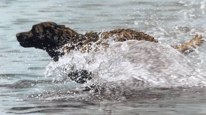 kb Harrison Making Waves. ��������, �����