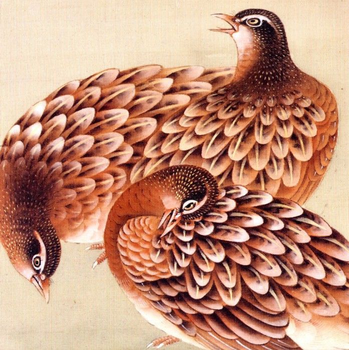 Shuki, Okamoto - Quail (end. , 