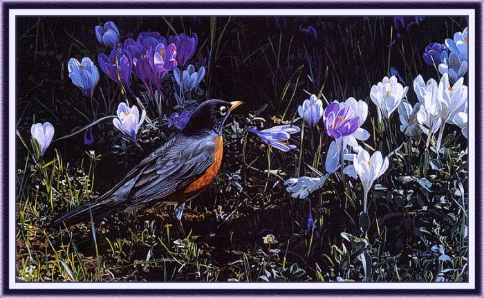 bs-na- Terry Isaac- Signs Of Spring. , 