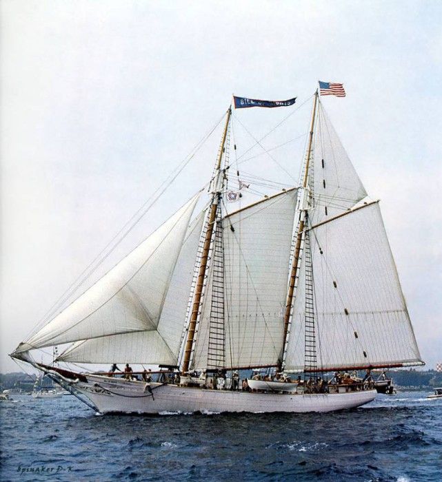 dk tall ships bill of rights gaff schooner lyr 1971. 
