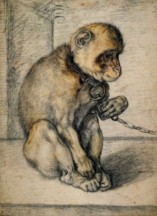 Goltzius Hendrick Monkey chained Sun. , 