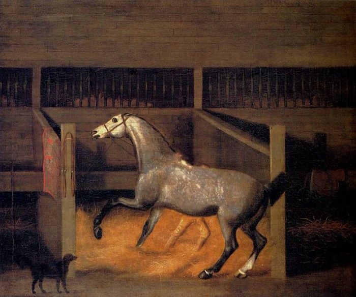 Sartorius Francis A Dappled Grey In A Stall. , 