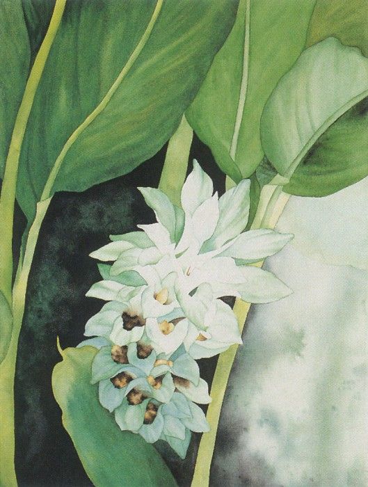 kb Folgner Amanda-Untitled1. Folgner, 