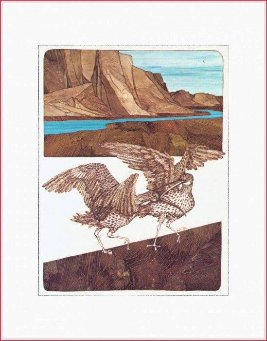 vanKampenVlasta LastOfTheCurlews-We. ������, ������ ���