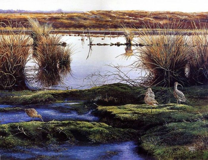 Verstappen Pieter Nature 01 Sun. Verstappen, �����