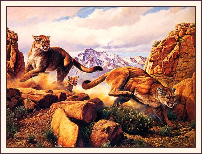 bs-na- Barbara A Peets- Maternal Defense. �����, �������