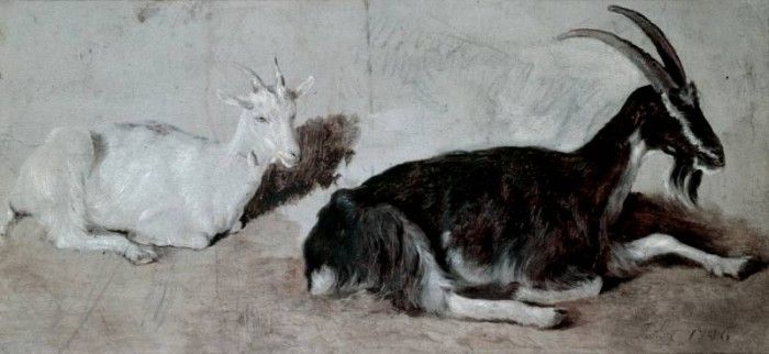 Agasse Jacques Laurent Two Goats. Agasse, -