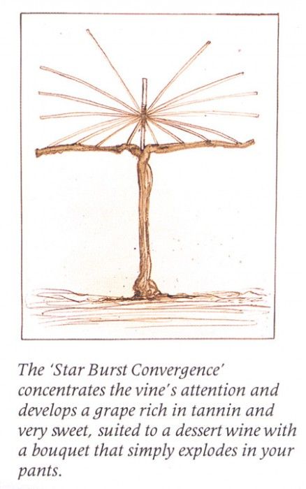 bs GOR 85 Star Burst. �������, �����