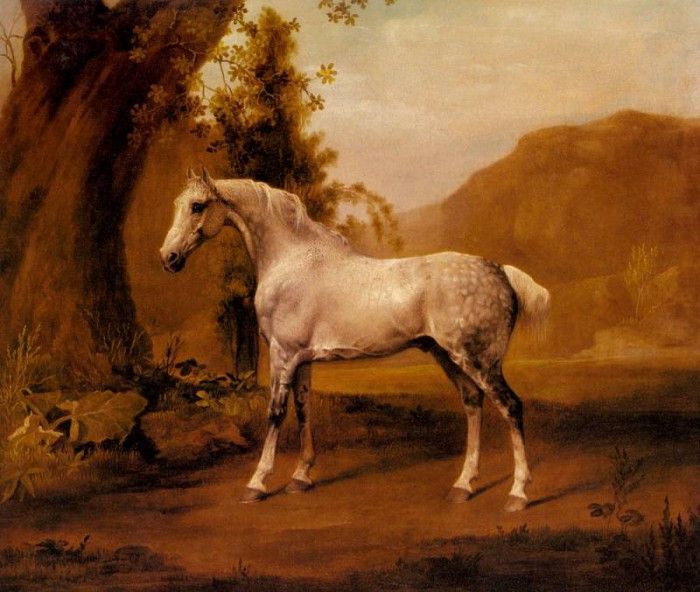 Stubbs George A Grey Stallion In A Landscape. , 