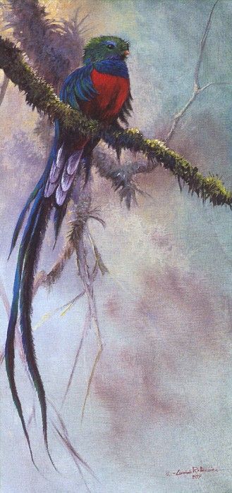 kb Ratnavira Gamini-Jewel of the Emerald Forest. Ratnavira, ������