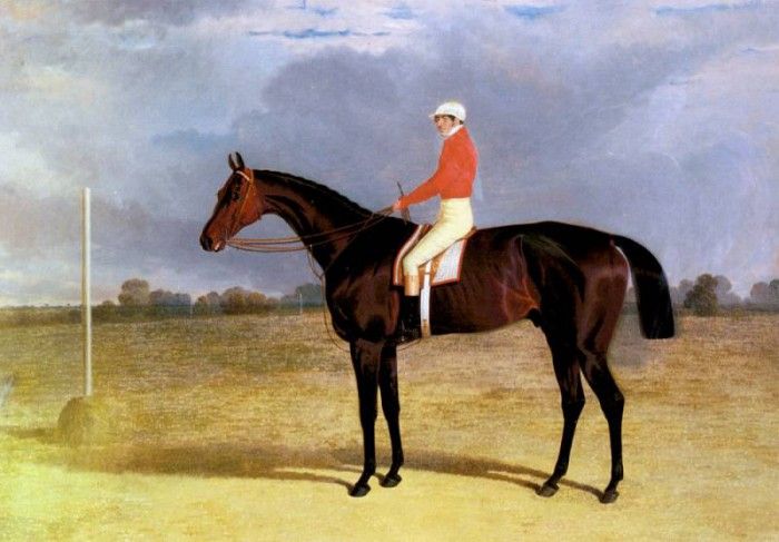 Herring Snr John Frederick A Dark Bay Racehorse With Patrick Connolly Up. ,  