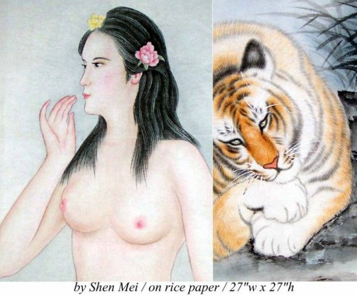 Shen Mei zd0064a. , 
