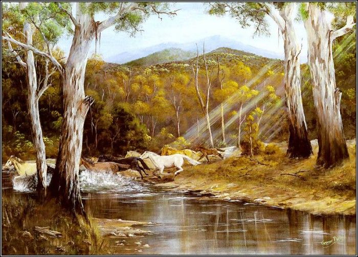 pa GeorgePhillips AustralianBush 11. �������, ������