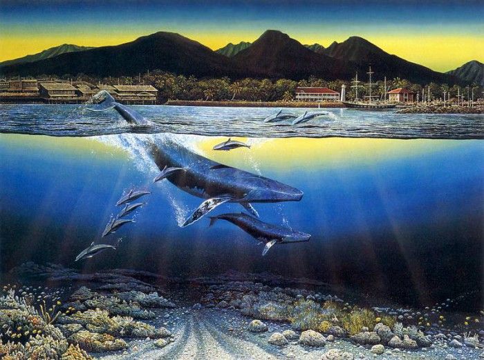 kb Nelson RL Maui Daybreak. Nasmith, 