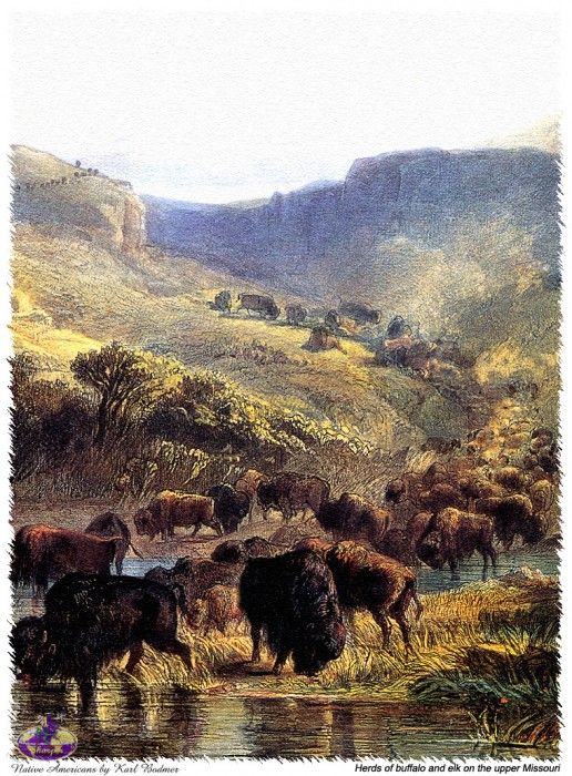 Sharper Native Americans SWD 09. ������, ����