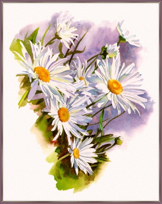 KunzJan-Daisies-sj. , 