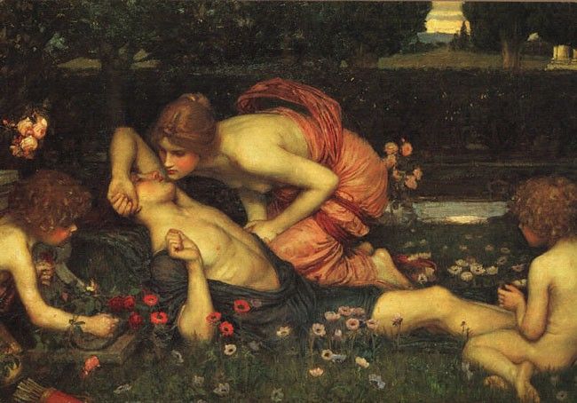 The Awakening of Adonis CGFA. ,  