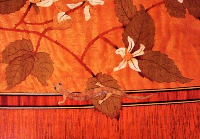 Paul Schurch - Olympic Salamander & Blackberry Briar (detail), De. Schurch, 