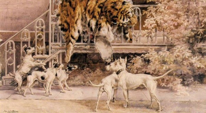 Osthaus Edmund Henry Hunting Tigers The Terriers. Osthaus,  