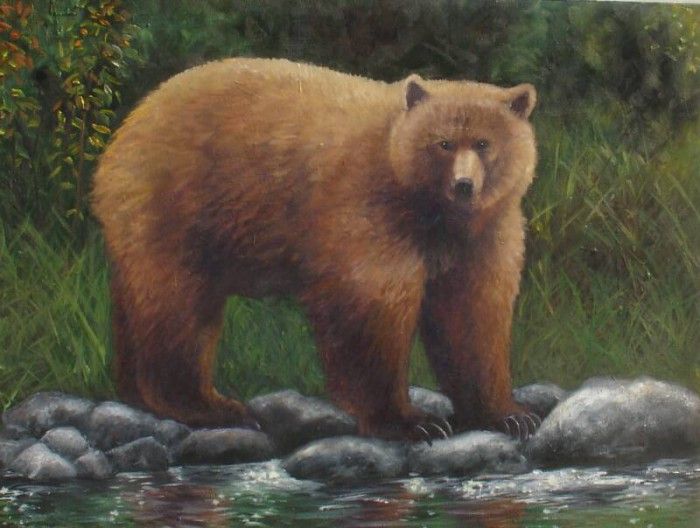 bear1 op 800x604. Nordwall, �������