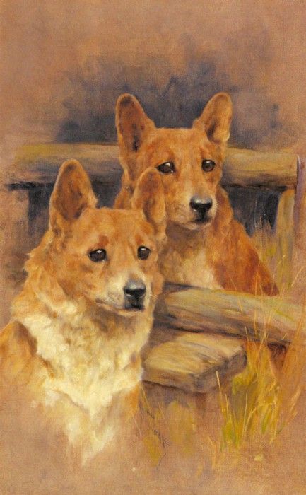 Wardle Arthur Two Corgies. , 