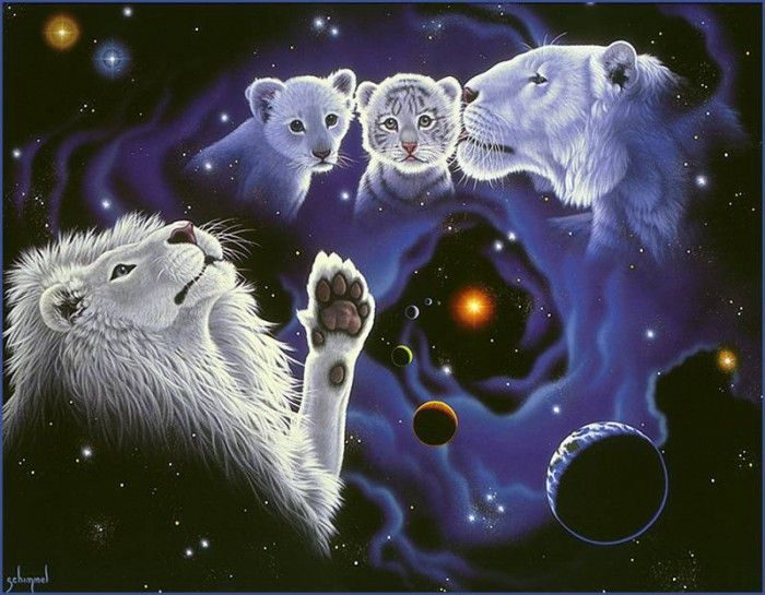 am-A Mothers Kiss, A Fathers Touch. Schimmel, 