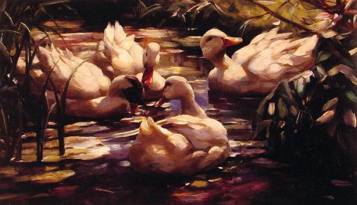 Ducks in a Forest Pond. , 