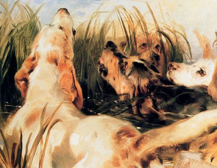 Landseer Edwin Otter dogs Sun.   