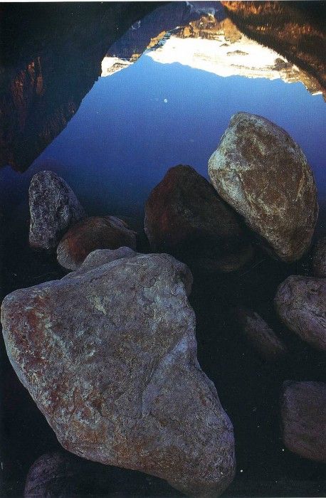 Funny 203. ����� ������ - ���� �����