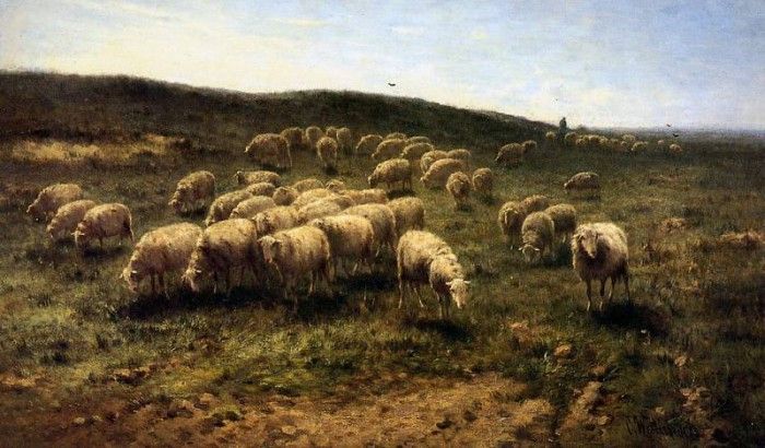 Westerbeek Cornelis Herdsman with sheep Sun . Westerbeek, 