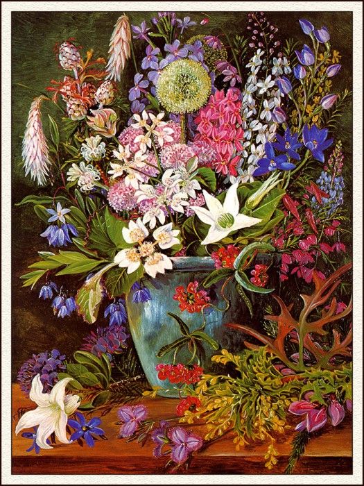 bs-flo- Marianne North- Wildflowers- West Australia. , 