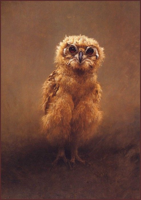 lrsHarrisChingRay-OwletMackindersEagle. ,  