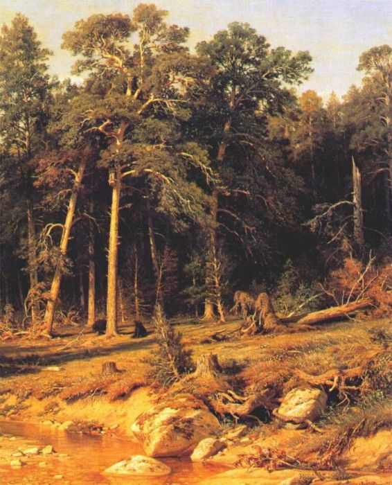 shishkin a pine forest (viatka province) 1872. ,  