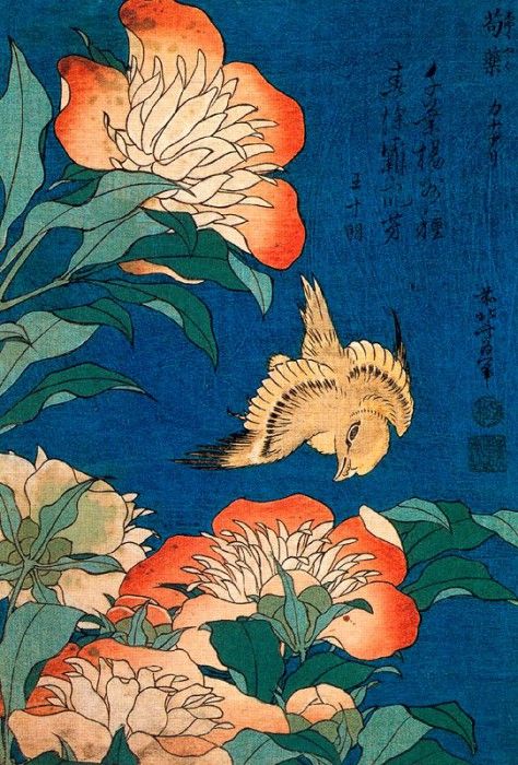 pic09529. �������